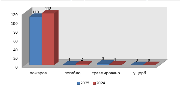 Статистика пожаров за 2025 год.